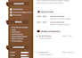 create a professional ats friendly CV or resume